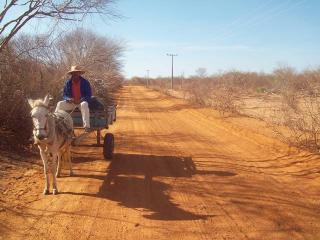 Estrada para a comunidade na época da seca, em 2014 (Foto: Nívia Dias/Univasf)